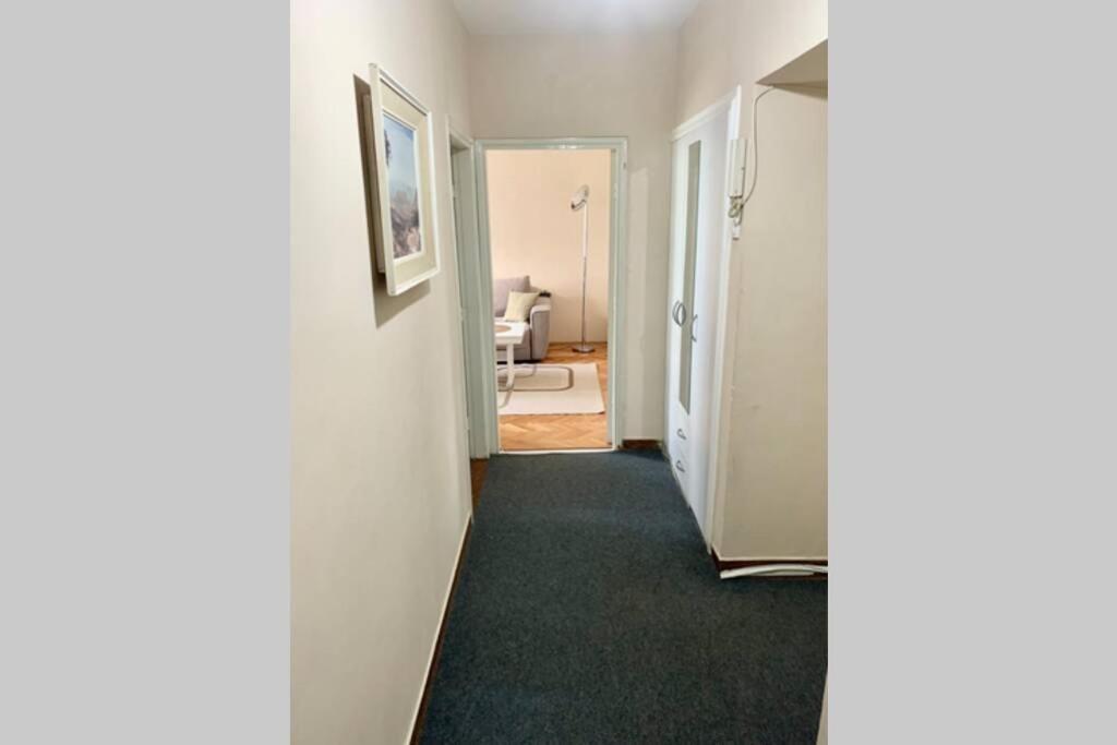 Cute, Spacious Apt In The Heart Of The Old Town Podgorica Kültér fotó