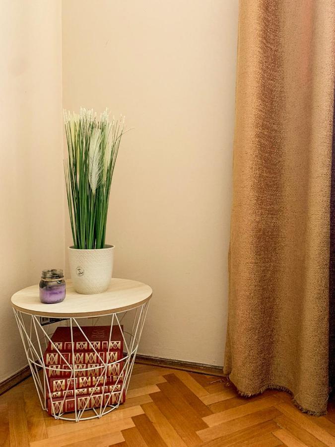 Cute, Spacious Apt In The Heart Of The Old Town Podgorica Kültér fotó